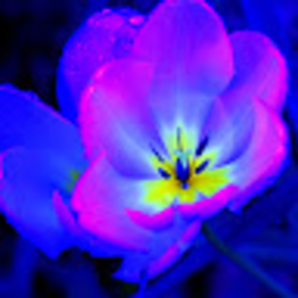 Meet your Posher, S. - Picture 1 of 1